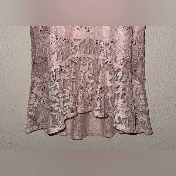NWT Alex B beautiful elegant lace sequins dress pink size 8 - Picture 6 of 10